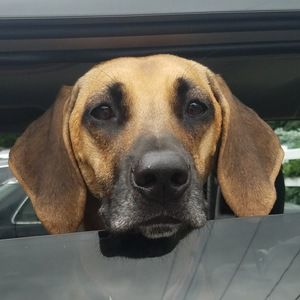 Meet your Posher, Sam